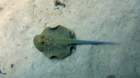 p1010394_small.jpg