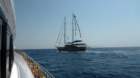 p1010405_small.jpg