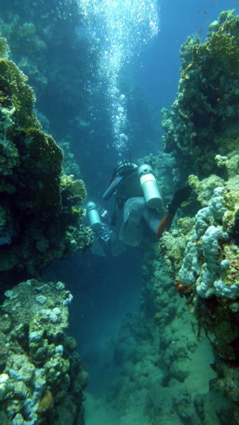 p1010435.jpg