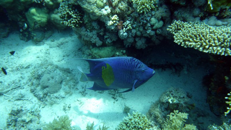 p1010443.jpg