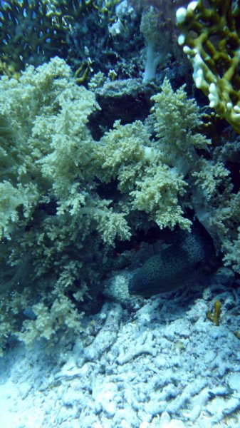 p1010446.jpg
