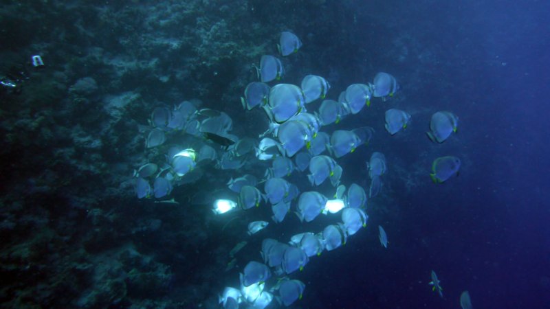 p1010599.jpg
