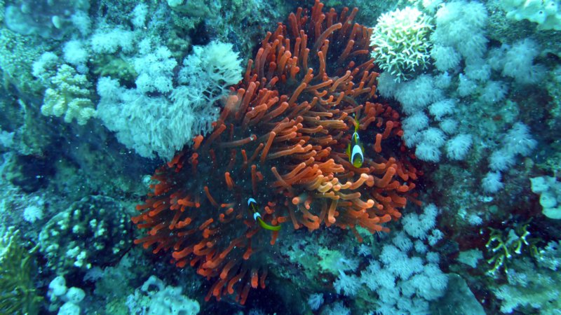 p1010646.jpg