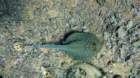 p1010713_small.jpg