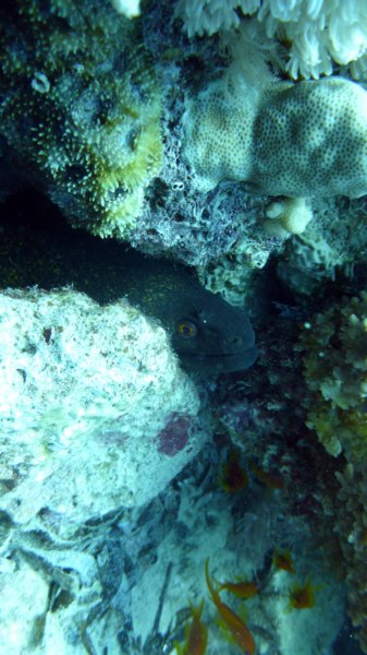 p1010717.jpg
