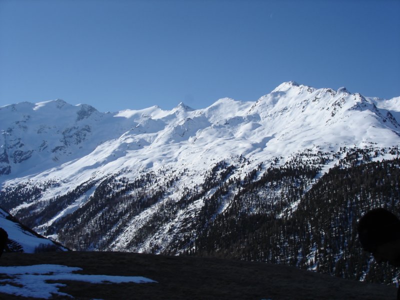 dsc01504jpg.jpg