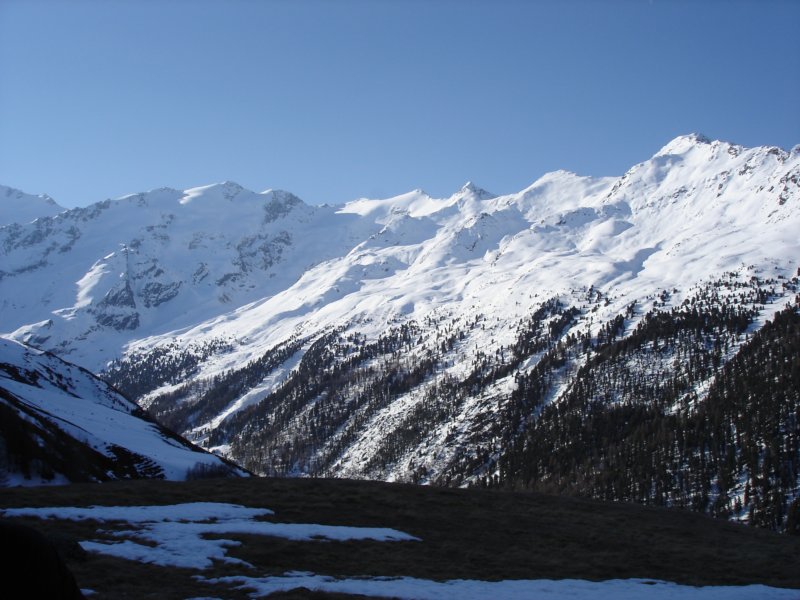dsc01505jpg.jpg