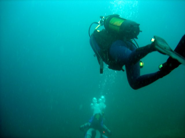 Photograph