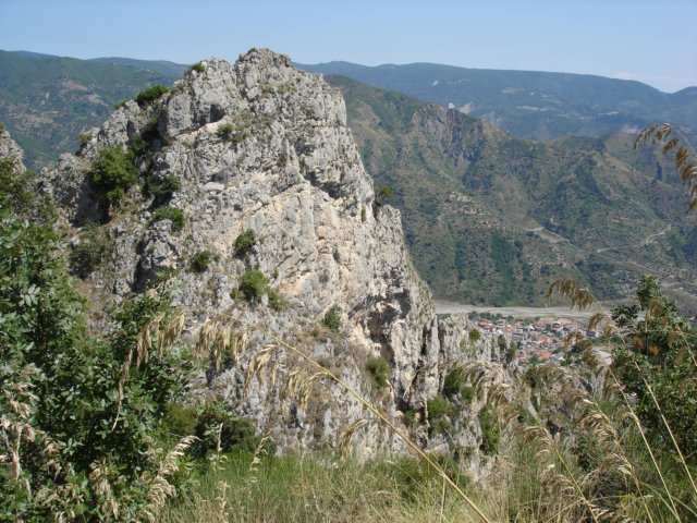 Photograph