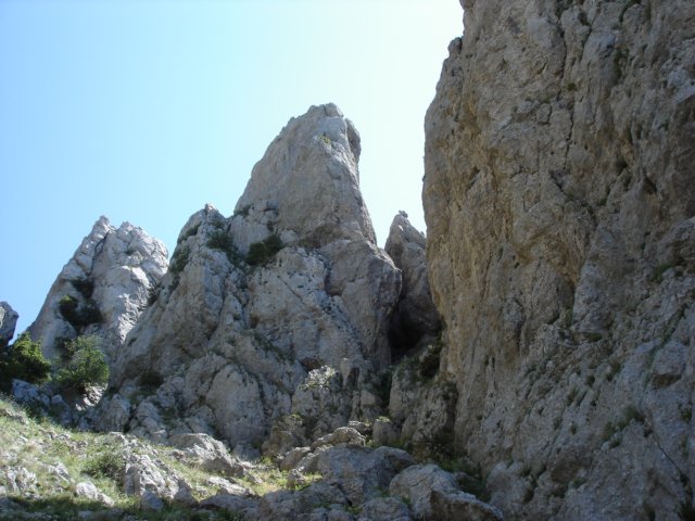 Photograph