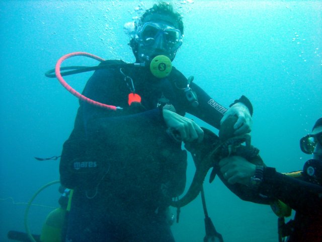 Photograph