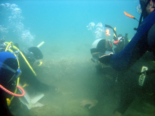 Photograph