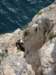 dsc01958_small.jpg