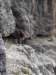 dsc01935_small.jpg