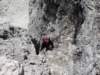 dsc01936_small.jpg