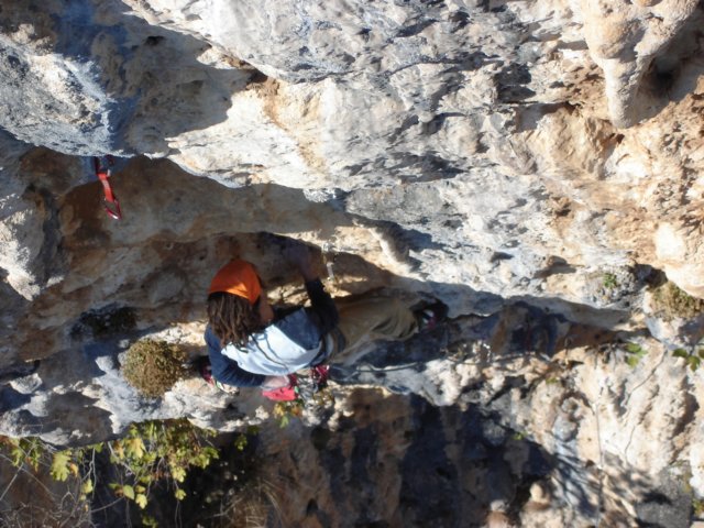 dsc02038.jpg
