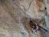 dscf3154_small.jpg