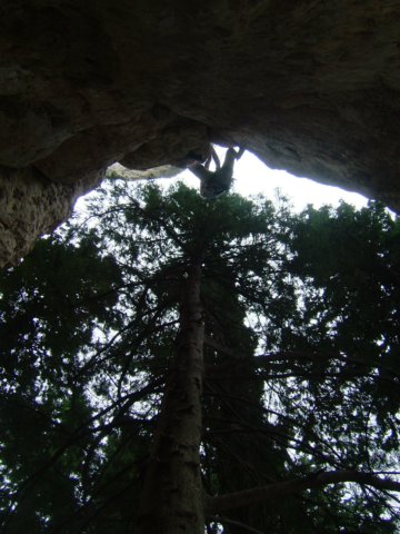 dscf3157.jpg