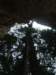 dscf3157_small.jpg