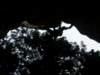 dscf3158_small.jpg