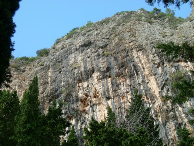 dscf3166.jpg