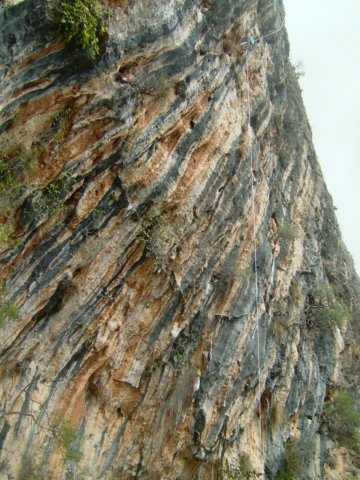dscf3172.jpg