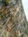 dscf3172_small.jpg