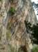 dscf3175_small.jpg
