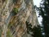 dscf3176_small.jpg