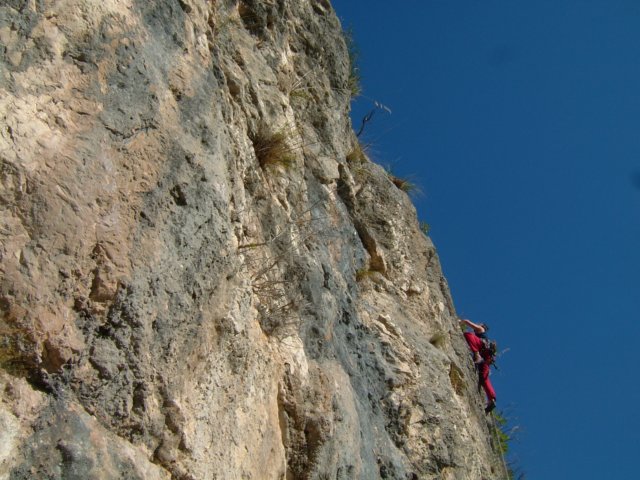 dscf3192.jpg