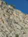 dscf4315_small.jpg