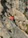 dscf4317_small.jpg