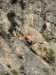 dscf4318_small.jpg