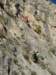 dscf4319_small.jpg