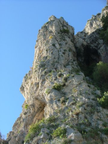 dscf4326.jpg