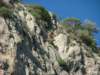 dscf4327_small.jpg