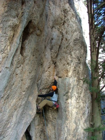 dscf4362.jpg