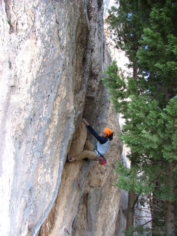 dscf4374.jpg