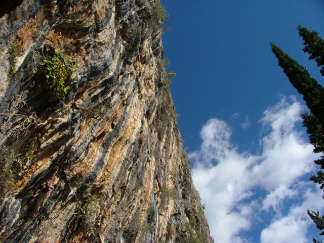 dscf4389.jpg