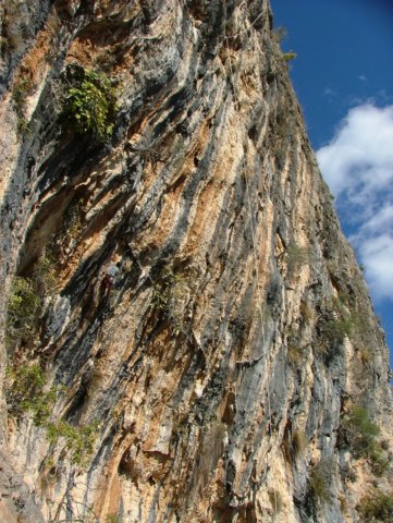 dscf4393.jpg