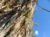 dscf4405_small.jpg
