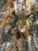 dscf4407_small.jpg