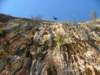 dscf4408_small.jpg