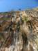 dscf4409_small.jpg