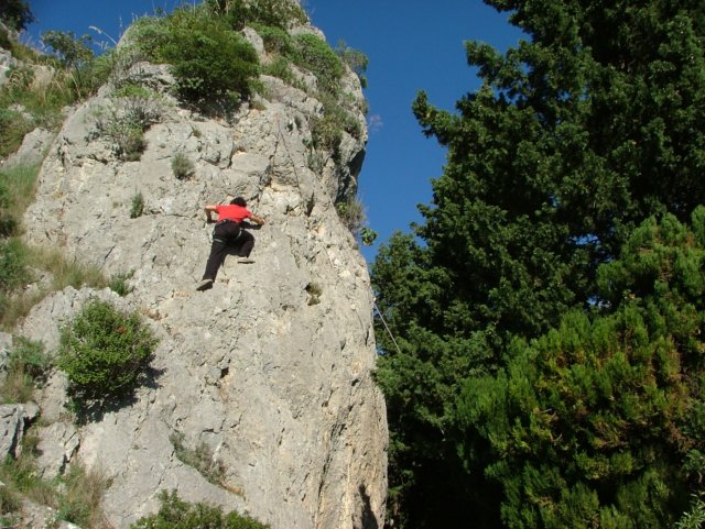 dscf4411.jpg