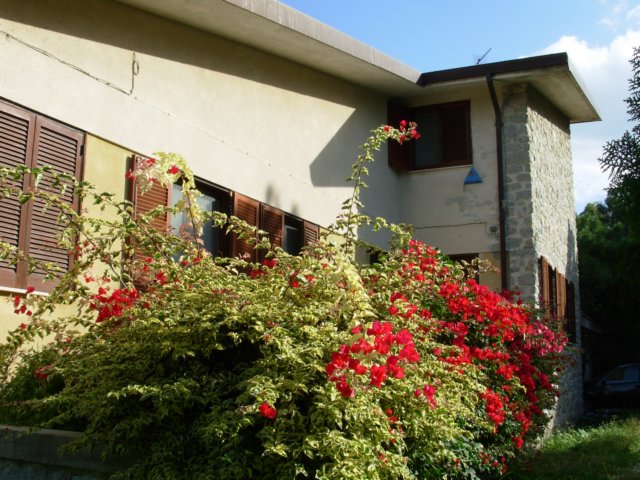 dscn4175.jpg