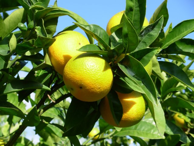 dscn4177.jpg