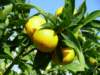 dscn4177_small.jpg