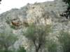 dscn4182_small.jpg