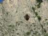 dscn4198_small.jpg